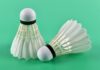 The Amazing Health Benefits of Playing Badminton
