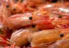 Deadly Shrimp Eating Mistakes You Might Be Making