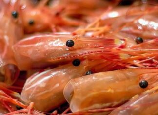 Deadly Shrimp Eating Mistakes You Might Be Making