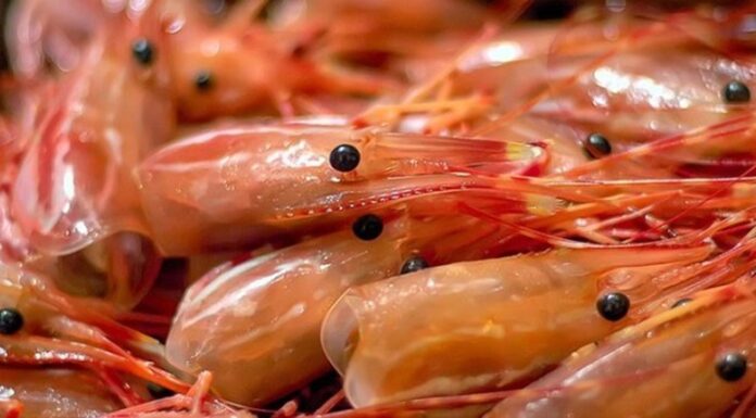 Deadly Shrimp Eating Mistakes You Might Be Making