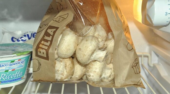 The Ultimate Guide to Storing and Cooking Mushrooms: Tips and Tricks for the Perfect Dish