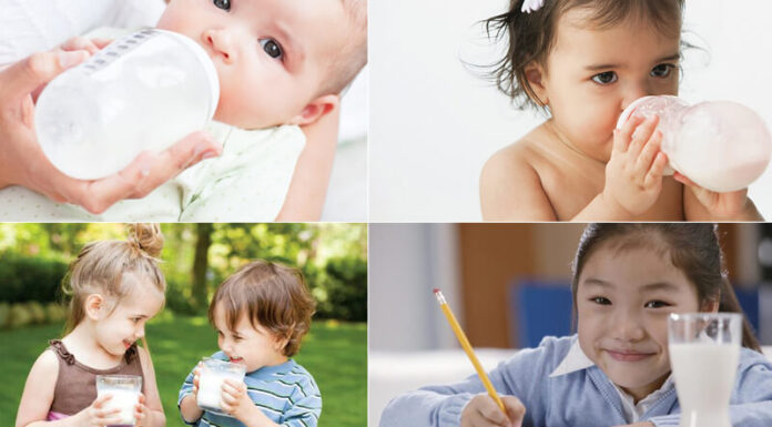 The Golden Rules for Choosing the Best Milk for Your Little One