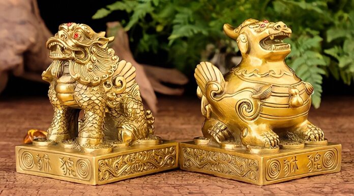 The Must-Have Feng Shui Items for 2021