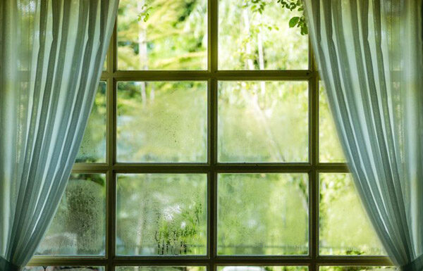 The Ultimate Guide to Protecting Your Furniture During the Damp Season: A Comprehensive Approach According to Material Type