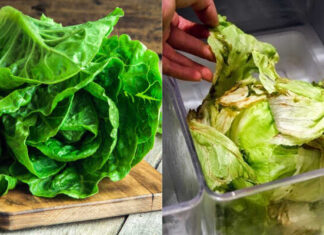 Ice-Cold Lemonade: A Revitalizing Elixir for Wilted Salads