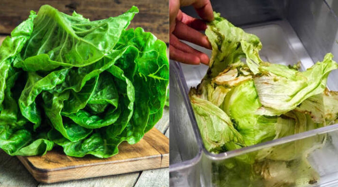 Ice-Cold Lemonade: A Revitalizing Elixir for Wilted Salads