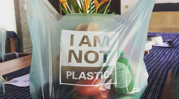 What are Biodegradable Nylon Bags and Are They Safe?