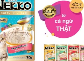 Is Pate Nekko Good for Cats?