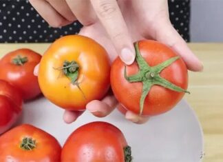 “The Easy Way to Tell if Your Tomatoes are Ripe or Ripened with Chemicals”