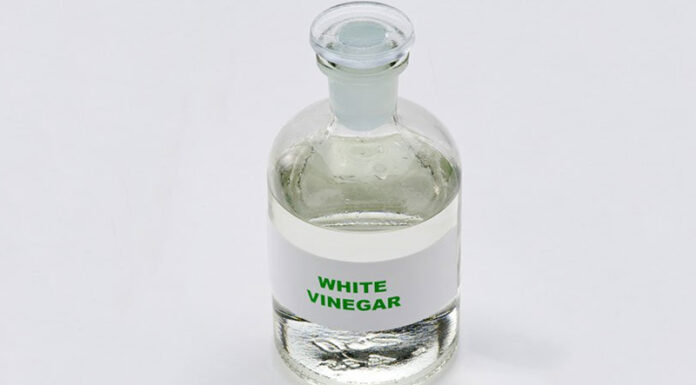 The Many Faces of Vinegar: Unveiling the Unique Characteristics and Uses of This Versatile Condiment