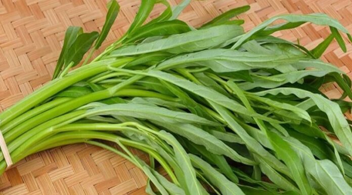 Is Eating Water Spinach After Surgery Advisable? Can Water Spinach Cause Keloids?