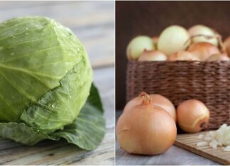 The Master Craftsman’s Ultimate Guide: Reviving Old Leather Shoes with an Unbelievable Duo