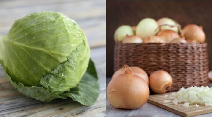 The Master Craftsman’s Ultimate Guide: Reviving Old Leather Shoes with an Unbelievable Duo