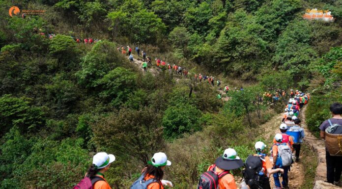 Conquering Fansipan: A Journey of Resilience and Fortitude