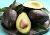 The Ultimate Guide to Storing Ripe Avocados: Keeping Them Green, Fresh and Delicious