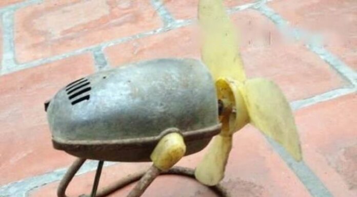 The Nostalgic Treasures of a Bygone Era