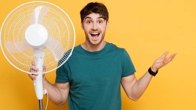 How Many Blades Should an Electric Fan Have?