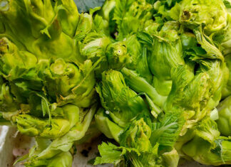 What is Stone Sprouts? Characteristics and Delicious Dishes from Stone Sprouts.