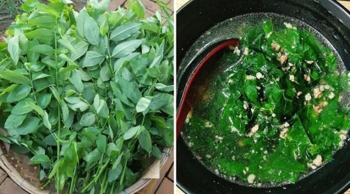 3 Superfoods to Boost Breastmilk Production: An Affordable, Delicious Option for Moms