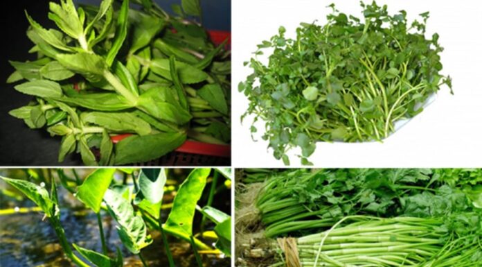 The Dirty Dozen: Why We Love These “Filthy” Vegetables