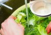 “The Myth of Salt Water Rinsing: A Critical Look at Vegetable Washing”