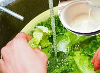 “The Myth of Salt Water Rinsing: A Critical Look at Vegetable Washing”