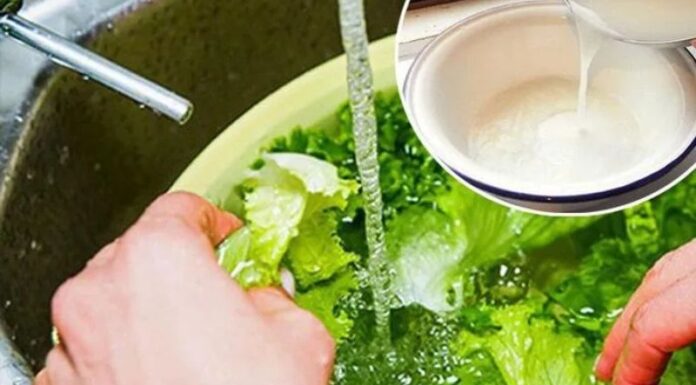 “The Myth of Salt Water Rinsing: A Critical Look at Vegetable Washing”