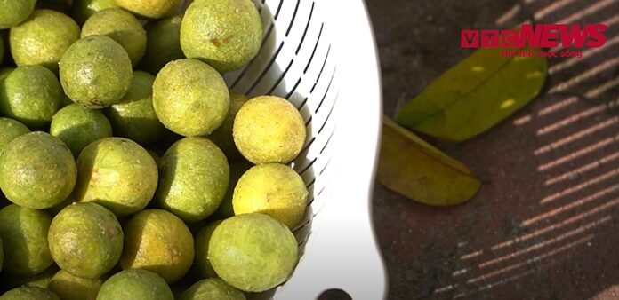 Should You Peel Sugar-Apple Skin Before Freezing?