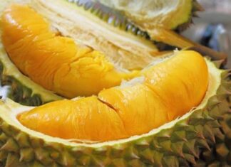 The King of Fruits: Unveiling the Secrets of Durian Selection and the Mystery of Male and Female Durian Trees