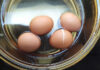 The Secret to Boiling Eggs Without Cracking the Shell