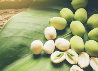 The Magic of Lotus Seeds: A Natural Remedy for Insomnia