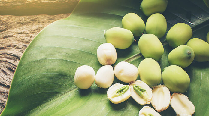 The Magic of Lotus Seeds: A Natural Remedy for Insomnia