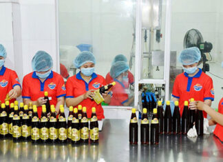 The Difference in Protein Content of Hoa Hiep Brand Fish Sauces