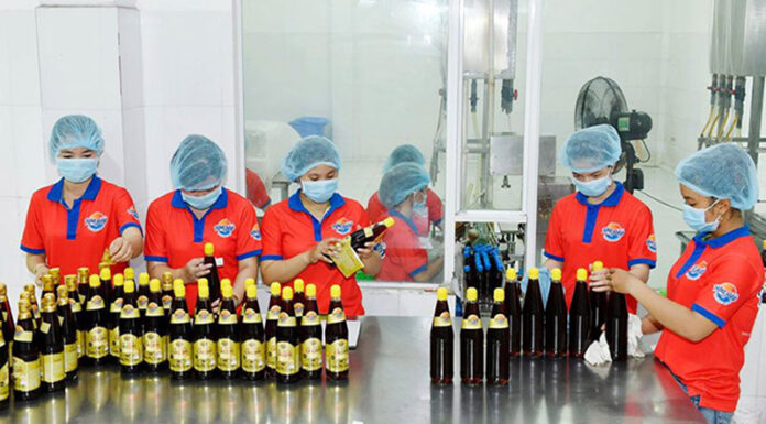 The Difference in Protein Content of Hoa Hiep Brand Fish Sauces