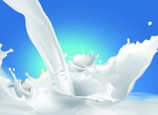 What is Pasteurized Milk and Which Brand is the Best?