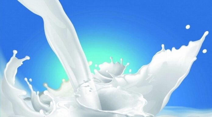 What is Pasteurized Milk and Which Brand is the Best?