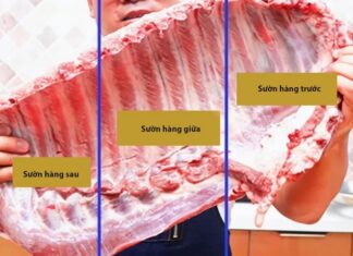 How to Distinguish Front and Back Ribs: A Guide to Choosing the Tastiest Cut