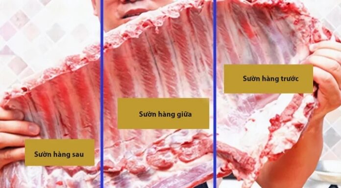 How to Distinguish Front and Back Ribs: A Guide to Choosing the Tastiest Cut