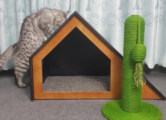 The Purrfect Scratch: Transform Your Indoor Cat’s Scratching Habits