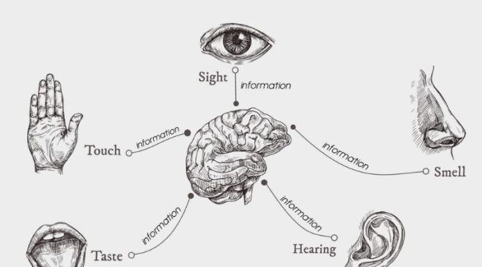Why Do Sour Foods Make Us Salivate?