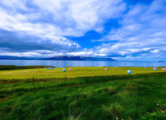 What are the Three Sen Offerings? The Ultimate Guide to Offering Three Sen to the God of Wealth.