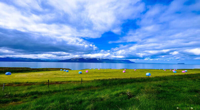 What are the Three Sen Offerings? The Ultimate Guide to Offering Three Sen to the God of Wealth.