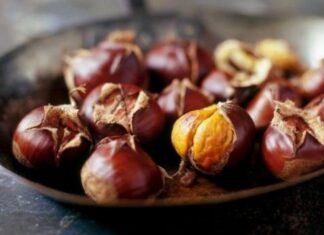 Delicious Roasted Chestnuts: A Tasty Treat with a Few Important Health Considerations