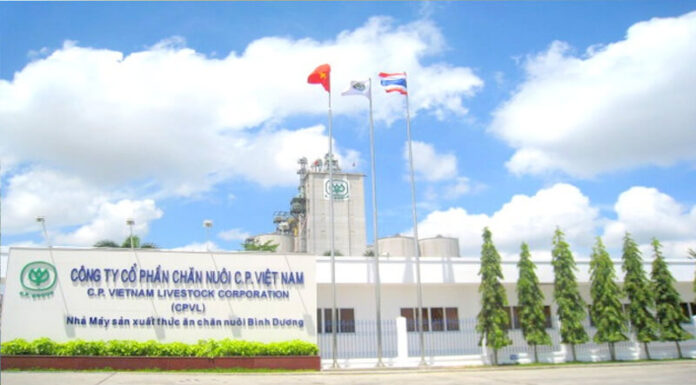 Is CP Chicken Safe to Eat? Where to Buy CP Chicken?