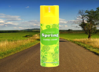 Experience the Magic of Spring Air Freshener for an Everlasting Fragrant Home