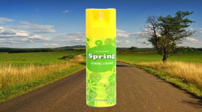 Experience the Magic of Spring Air Freshener for an Everlasting Fragrant Home