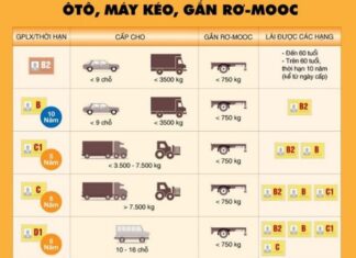 Motorcycle License Renewal Process: A Simple Guide to Getting Your Lost License Replaced.