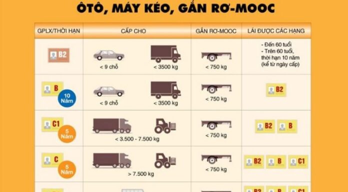 Motorcycle License Renewal Process: A Simple Guide to Getting Your Lost License Replaced.