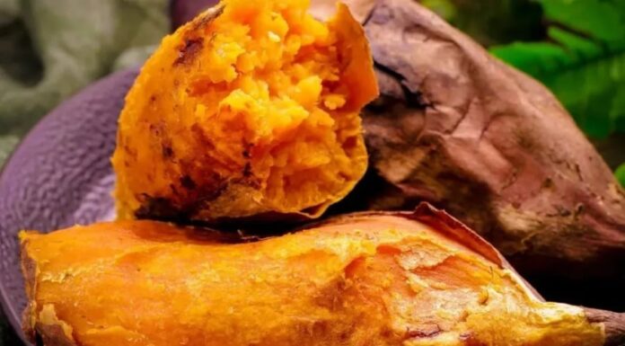 “What Not to Eat and What to Avoid on an Empty Stomach: The Definitive Guide”