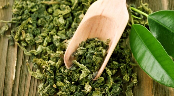 The Ultimate Guide to Choosing the Perfect Tea Gift: Match the Brew to Their Unique Personality